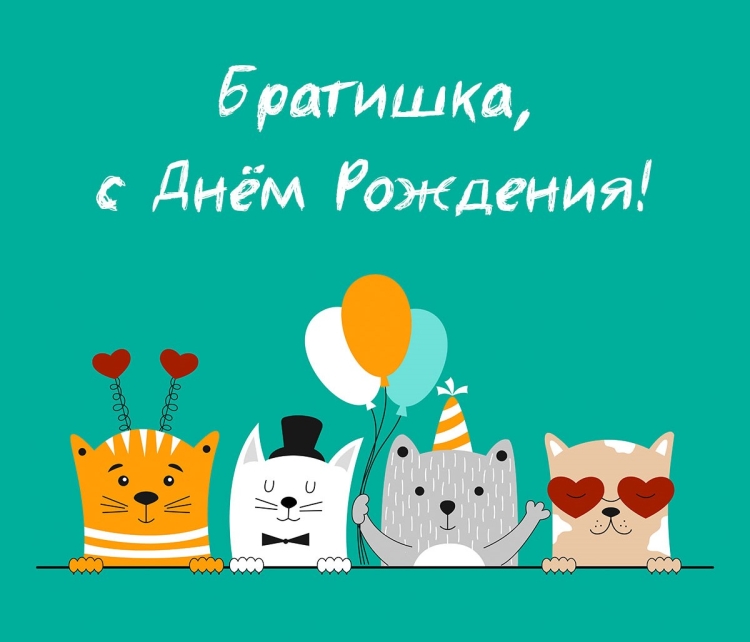 С днем рождения брат кот