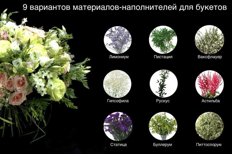 Стаффаж флористика
