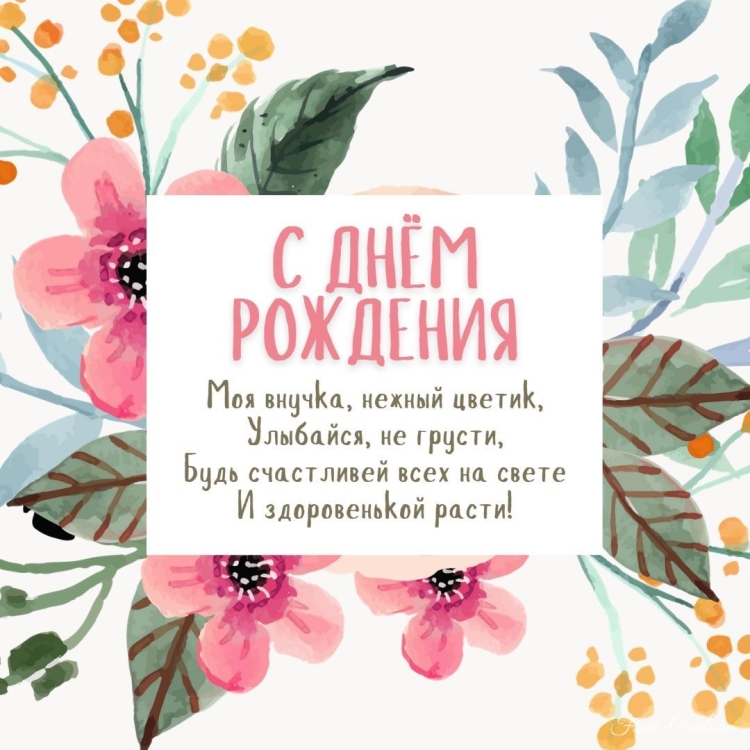 Поздравление внучке