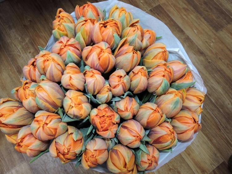 Букет оранжевых тюльпанов