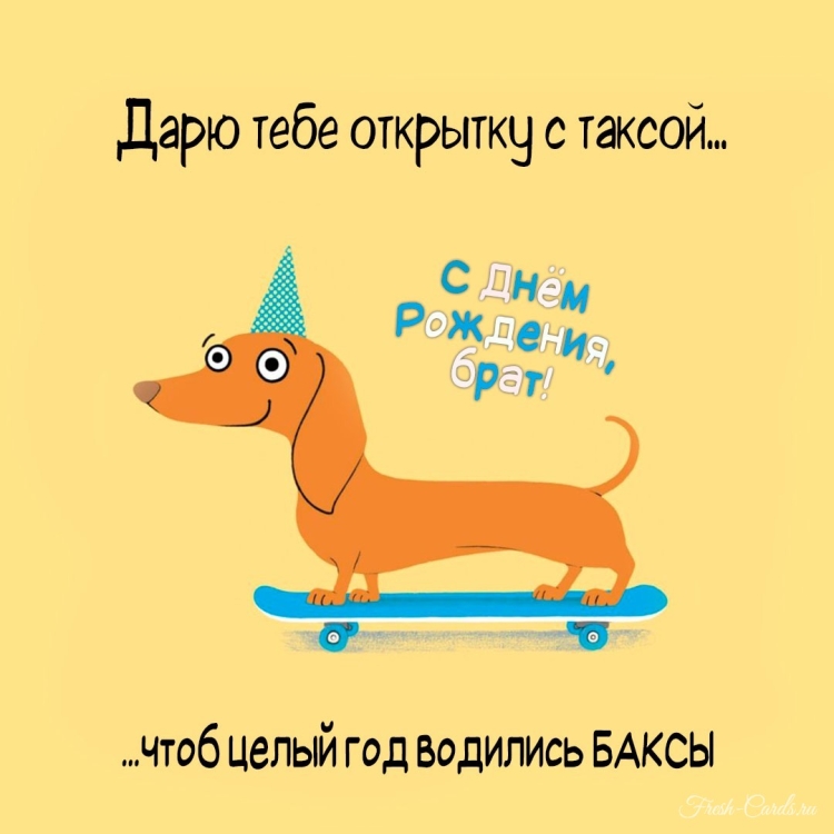Смешные поздравления с днем рождения