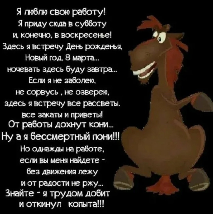 От работы дохнут кони ну а я Бессмертный пони стих