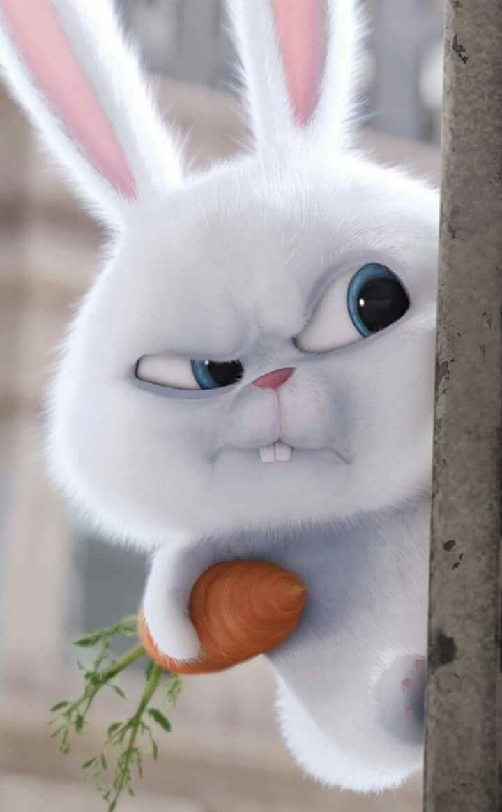 Злой кролик из мультика