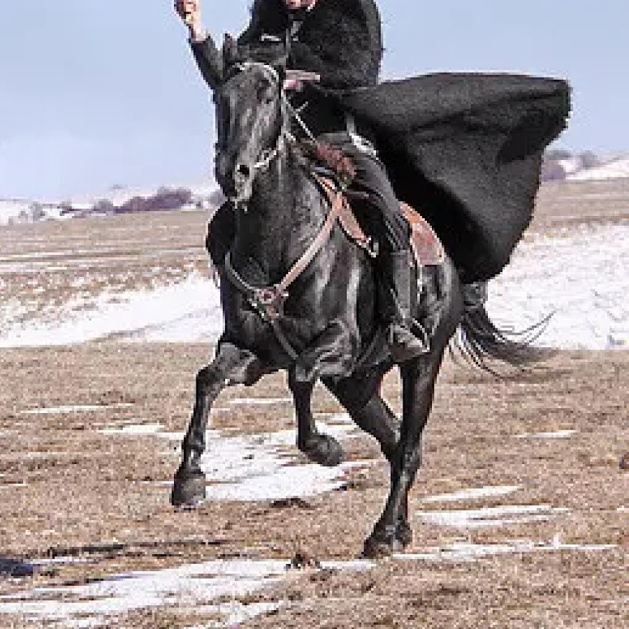 Джигит лихой. Горец джигит воин. Всадник Черкес. Джигиты Кавказа. Бурка Черкесская.