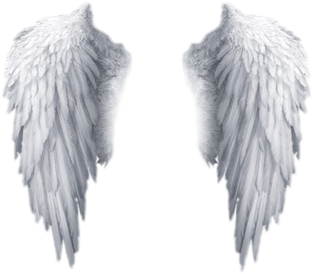 Крылья. Ангельские Крылья. Красивые Крылья. Ангельские Крылья сложенные. Крыло ангела читать