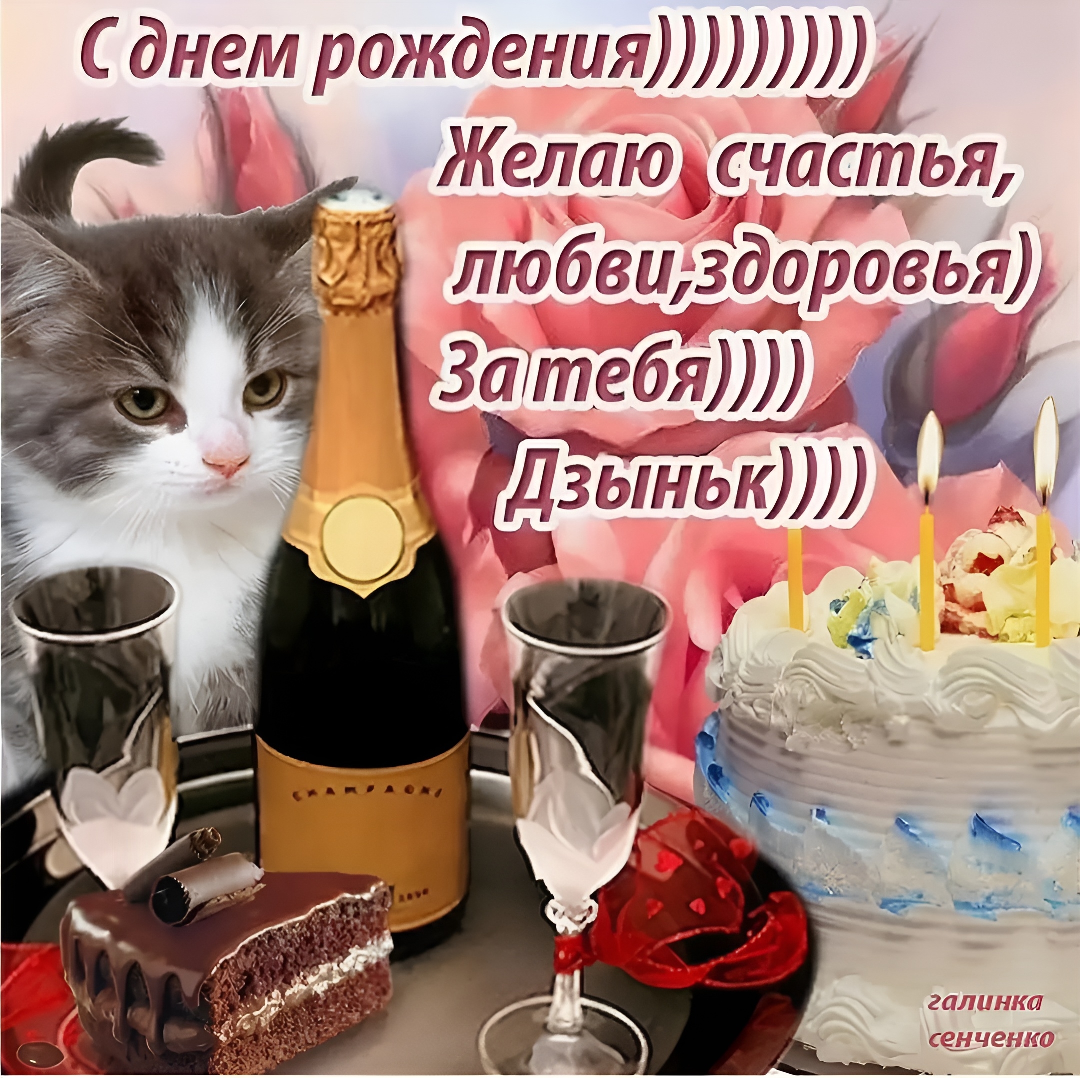 Поздравление с днем рождения славика. С днем рождения. Поздравления с днём рождения Слава. Поздравление с днем рождения с котом. Поздравление с днём рождения Вячеславу.
