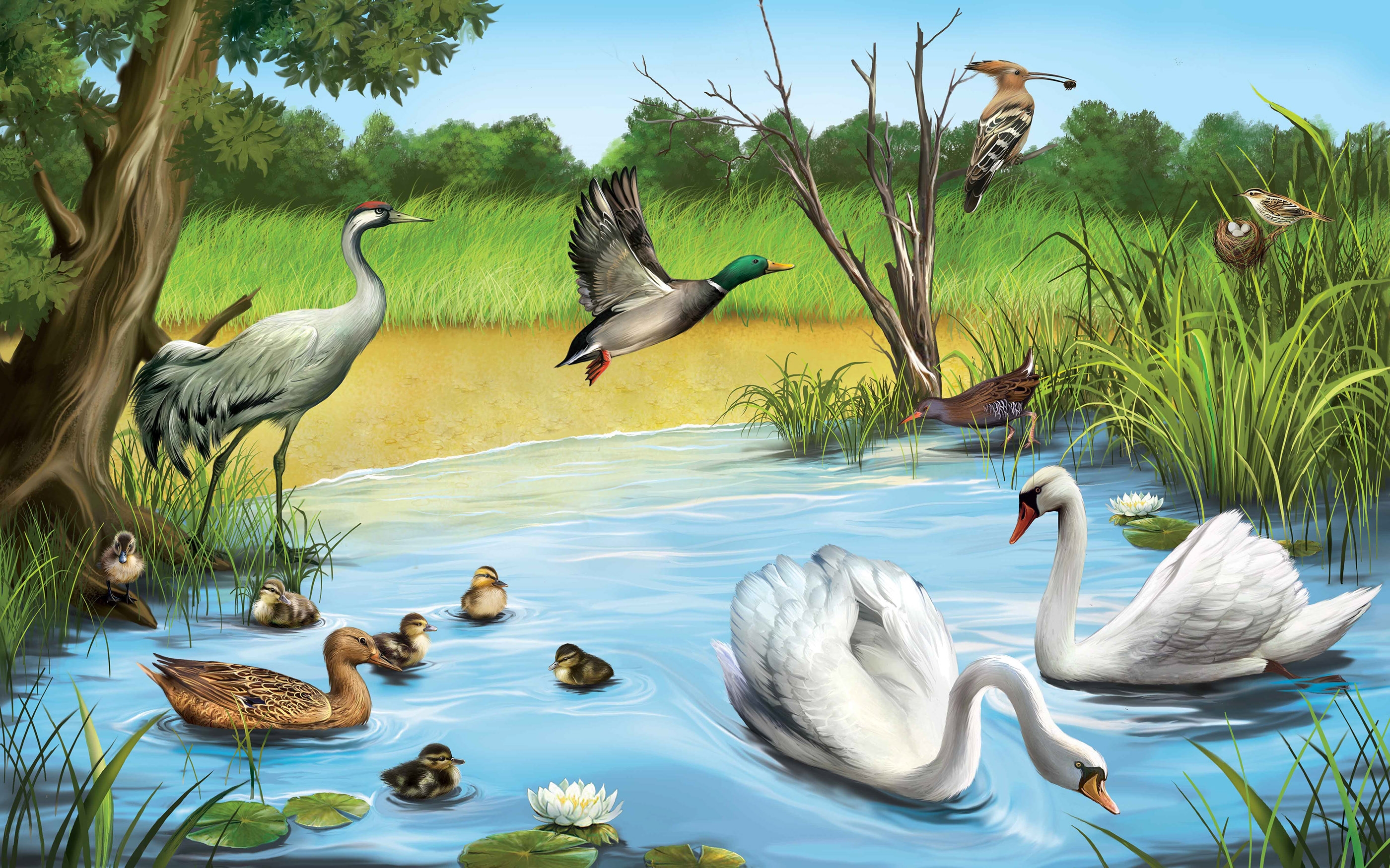 Мир без птиц. Рисунки природы с животными. Обитатели водоемов для детей. Пейзажи с животными и птицами. Обитатели пруда.