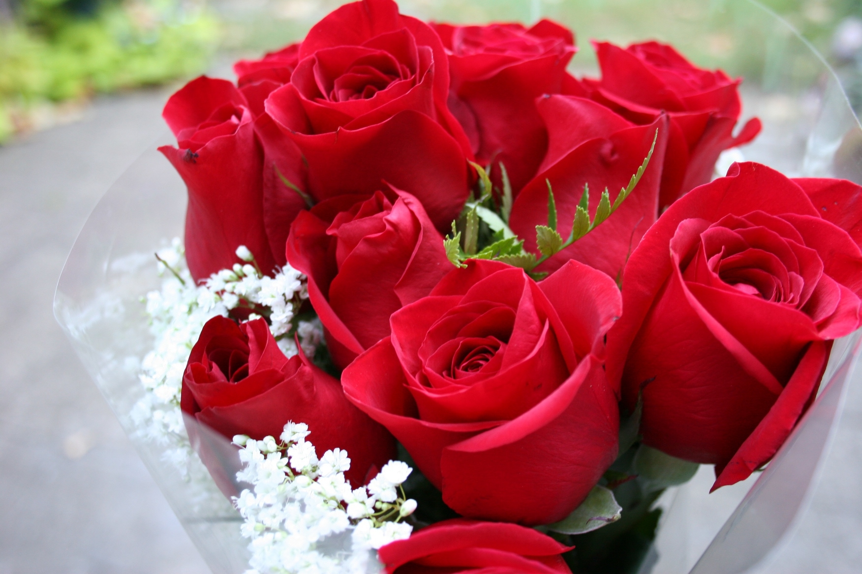 Gullar rasmi atirgul. Гулар манзараси. Шикарные цветы. Красивый букет роз. Шикарный букет роз.
