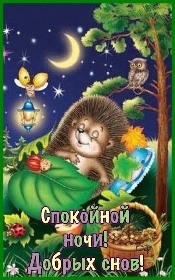 Доброй ночи Ежик