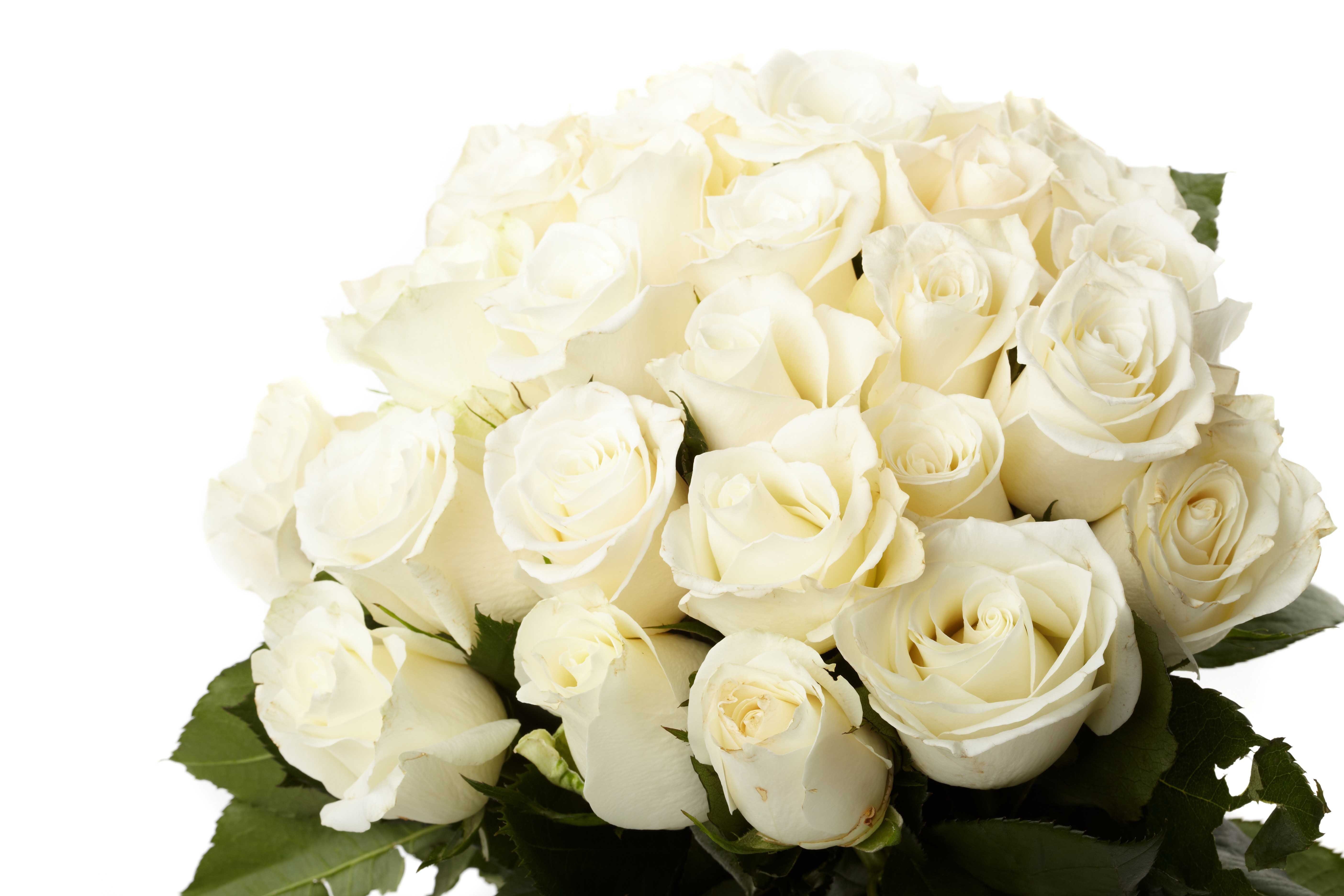 Сон белые розы букет. Красивый букет. Белый букет. Красивый белый букет.