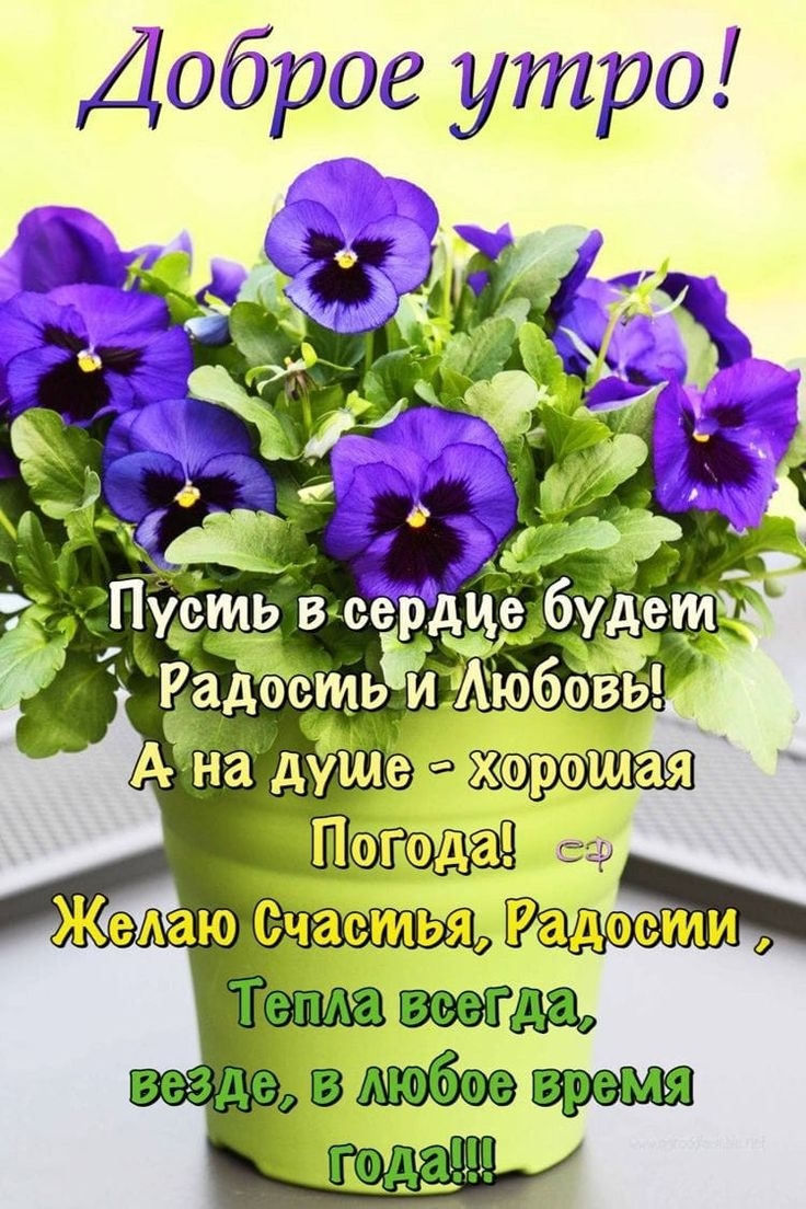 Православные пожелания с добрым утром