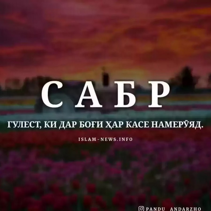 Капсулы сабр