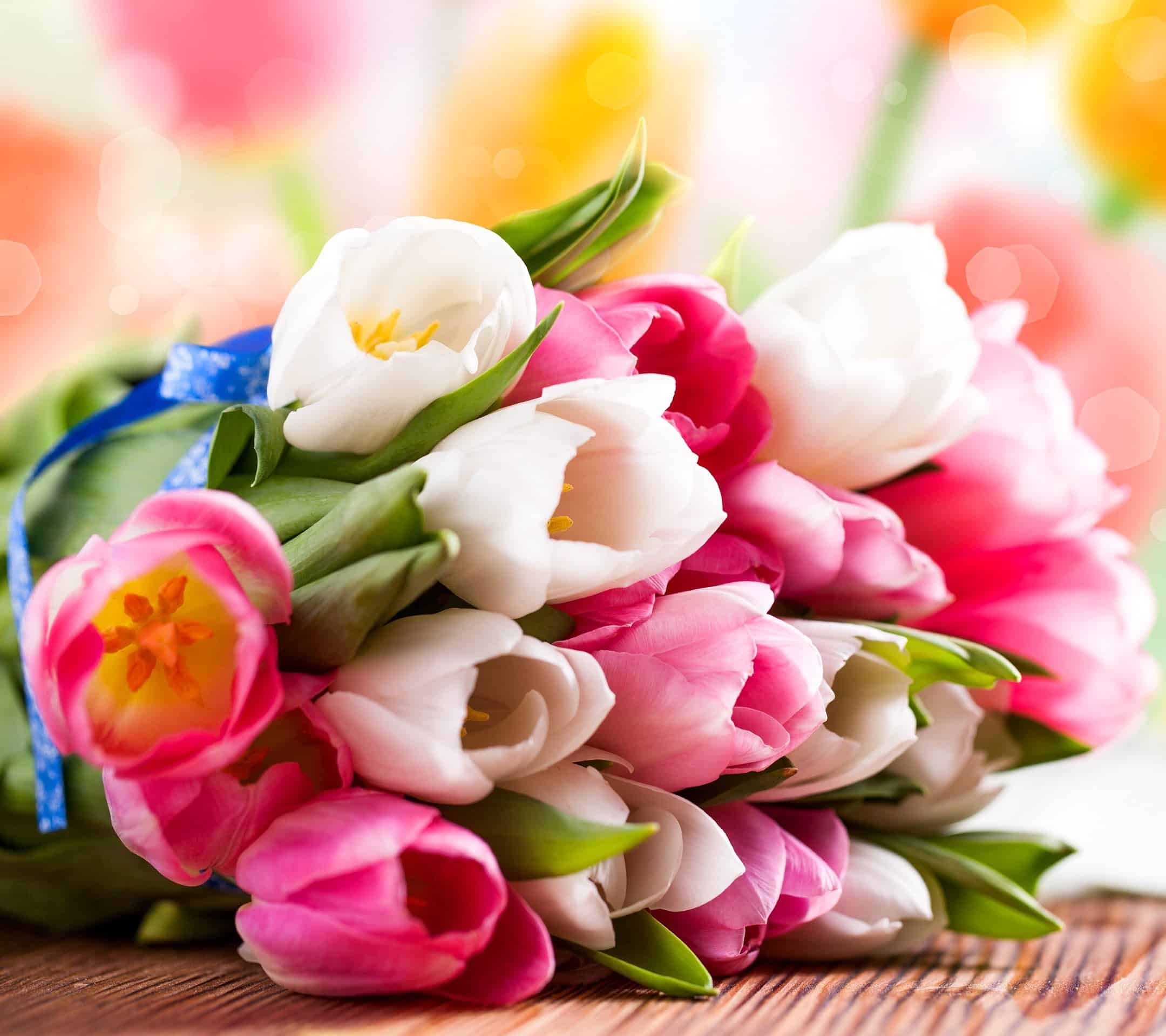 Нежные цветы с праздником. Красивый весенний букет. Тюльпаны открытка. Букет весенних цветов.