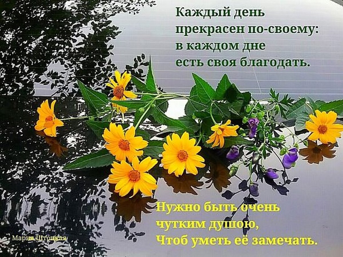 Доброго утра христианские картинки с пожеланиями благословенного. Христианские пожелания с добрым утром. Доброго дня и Божьей помощи. Христианские открытки с добрым днем. Христианские открытки с добрым утром.