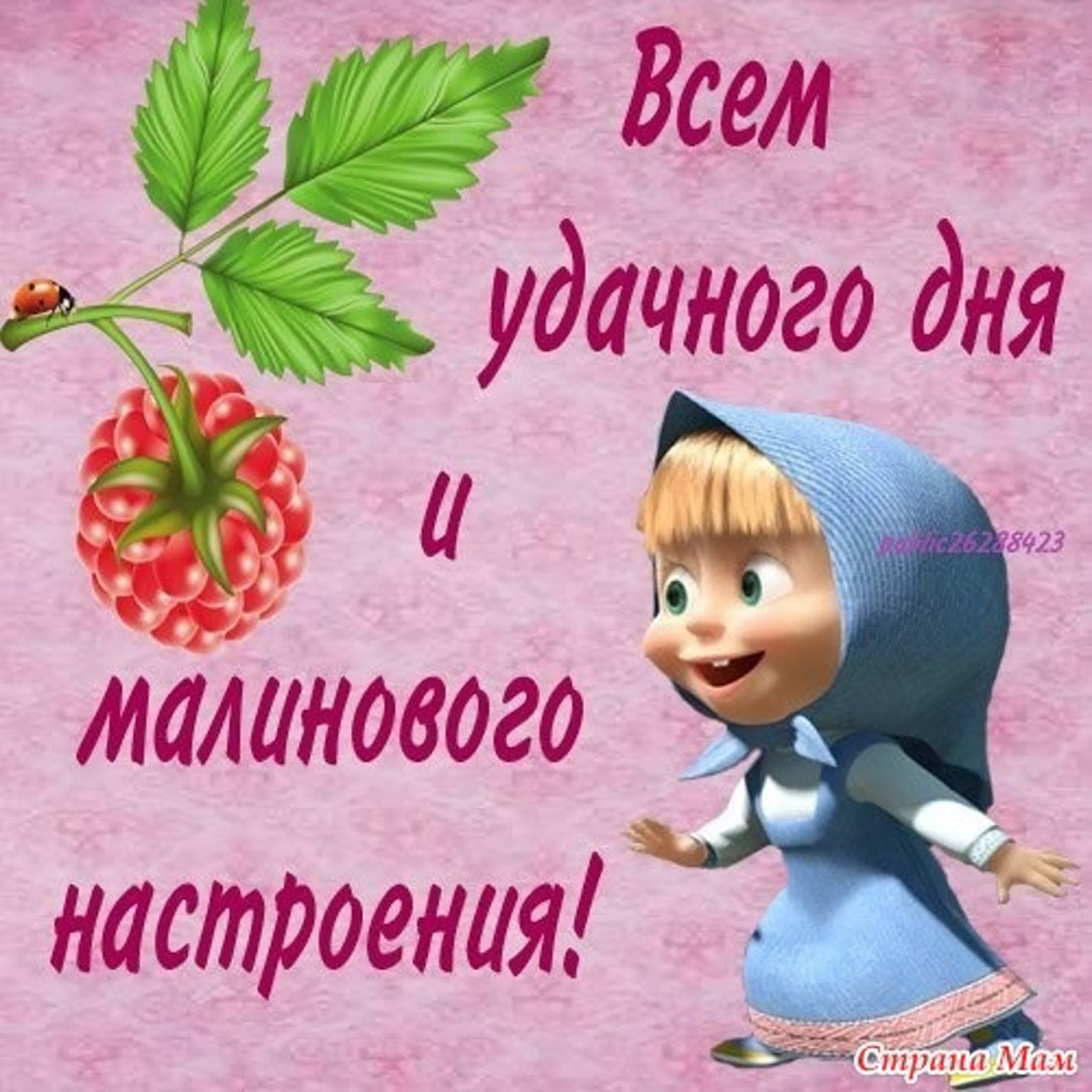 Рассказы региональных победителей пятого сезона Всероссийского литературного конкурса 