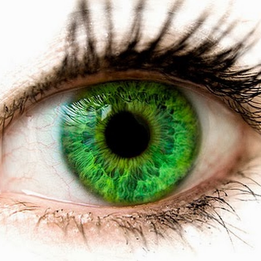 Изумрудные глаза. Красивые Изумрудные глаза. Изумрудно зеленые глаза. Ярко Изумрудные глаза. Зеленая радужка глаза