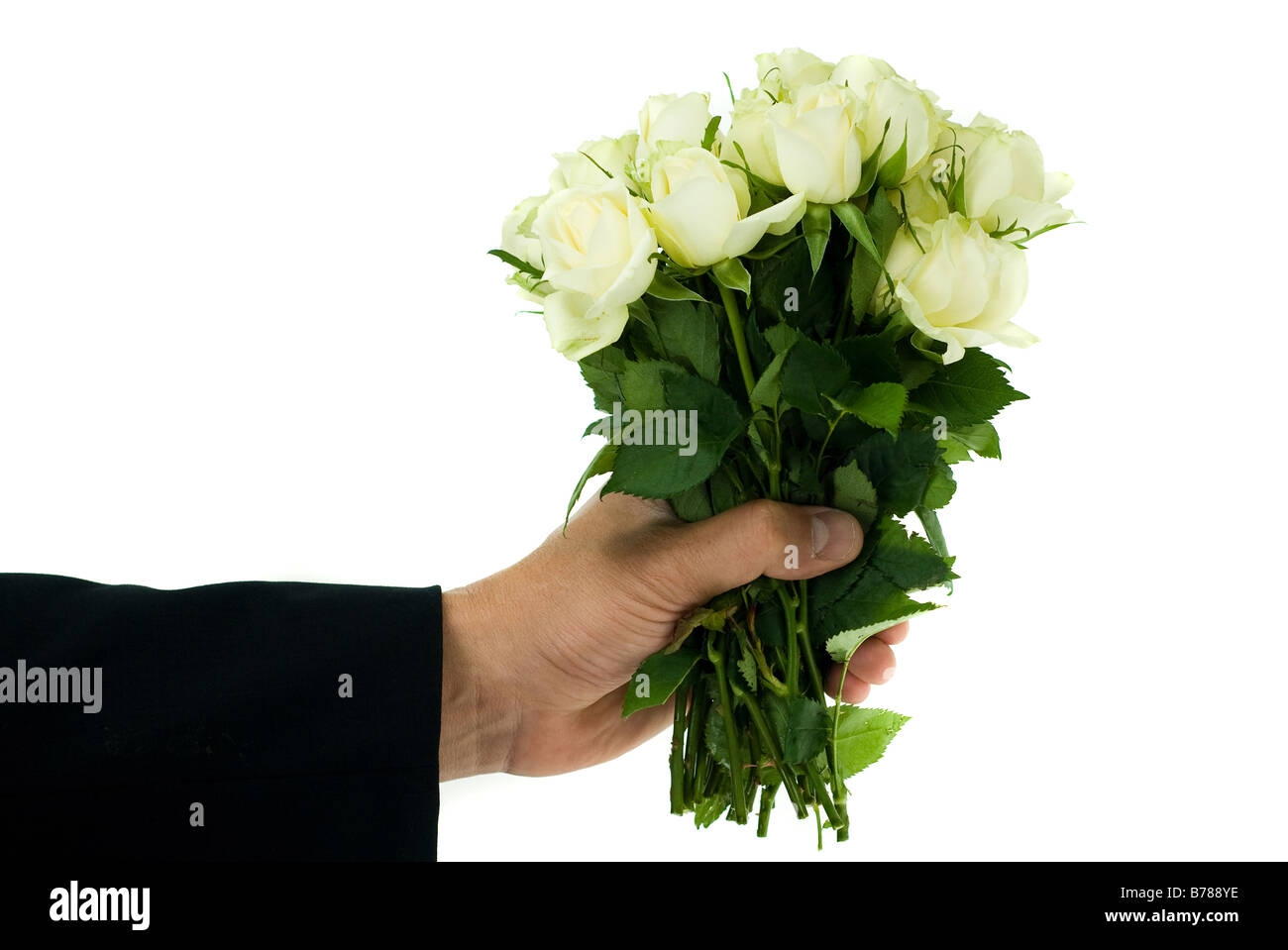 Белые розы в руках. Букет цветов в мужских руках. Мужская рука с цветами. Дарит цветы. Цветок на руку..