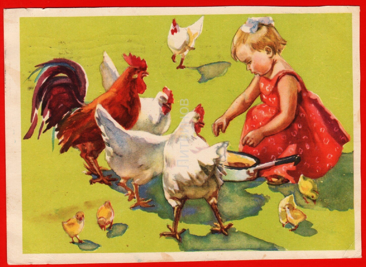 Дети кормят цыплят. Курица с цыплятами для детей. Девочка кормит цыплят. Курочка для детей. Сюжетная картина дети кормят курицу и цыплят.