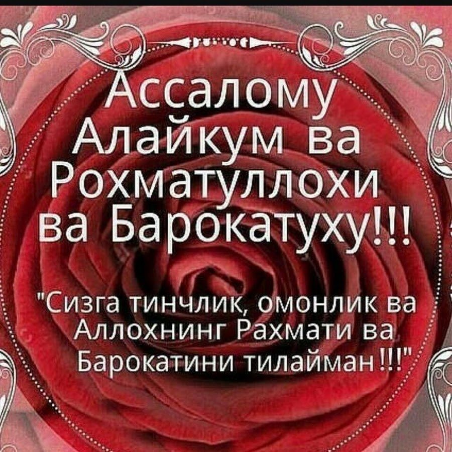 Салам алейкум варахматулахи вабаракату. Аллохнинг рахмати. Ассаламу алейкум ВАРАХМАТУЛЛАХИ ВАБАРАКАТУХ. Ҳайрли Тонг. Ассаламу алейкум ва баракатуху.