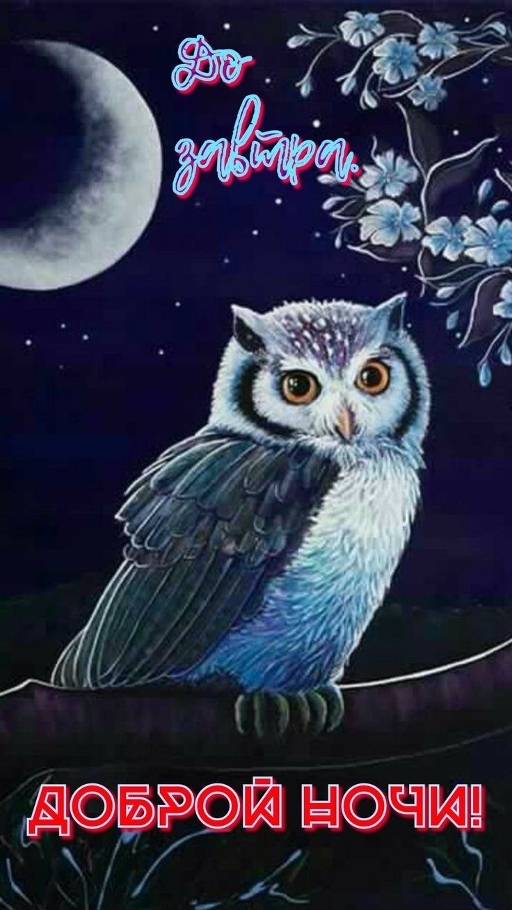 Спокойной ночи Сова