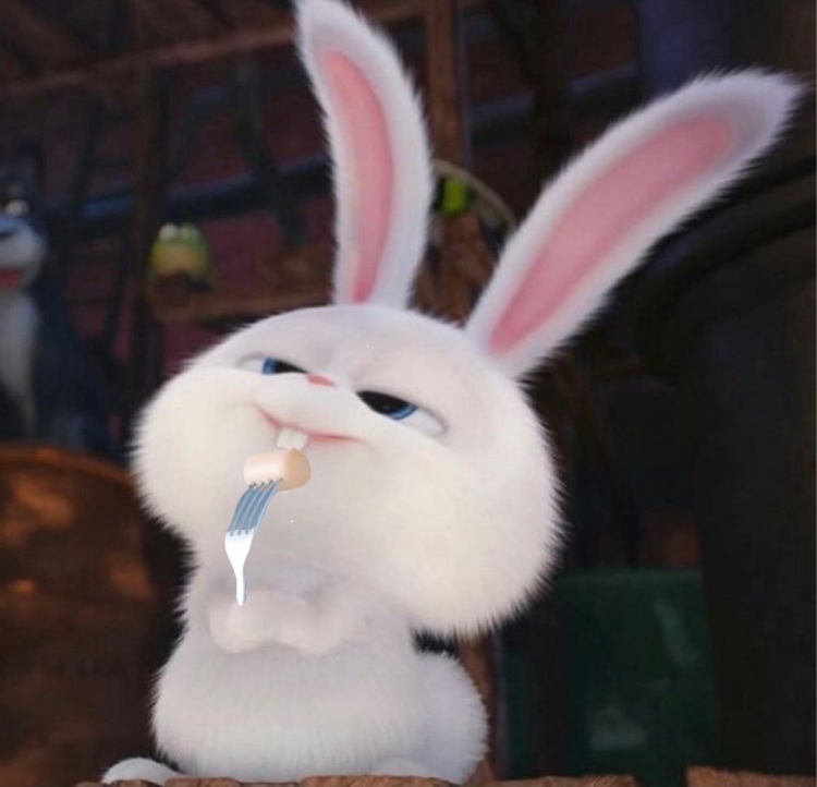 Тайная жизнь домашних животных кролик снежок