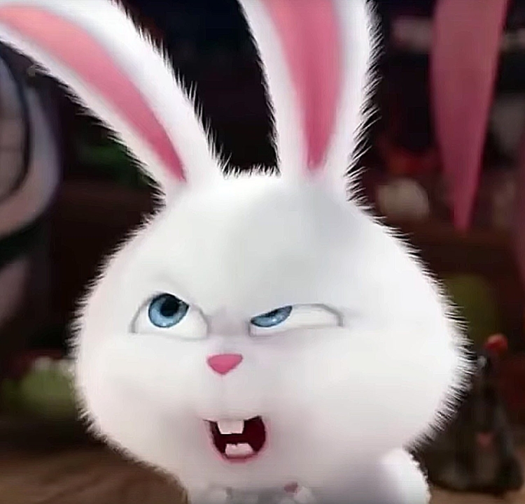 Кролик снежок Тайная жизнь домашних животных 1