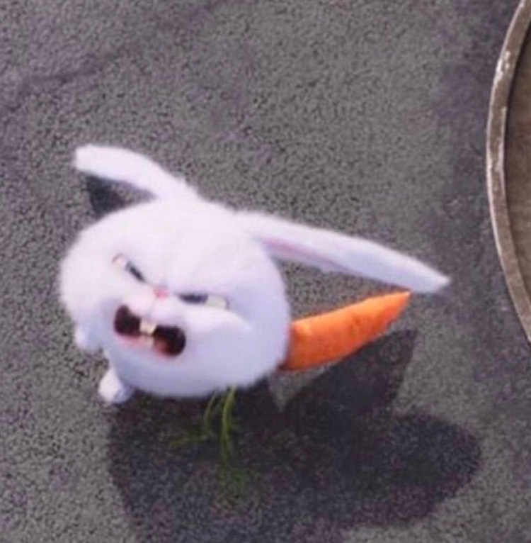 Злой заяц из мультика Тайная жизнь