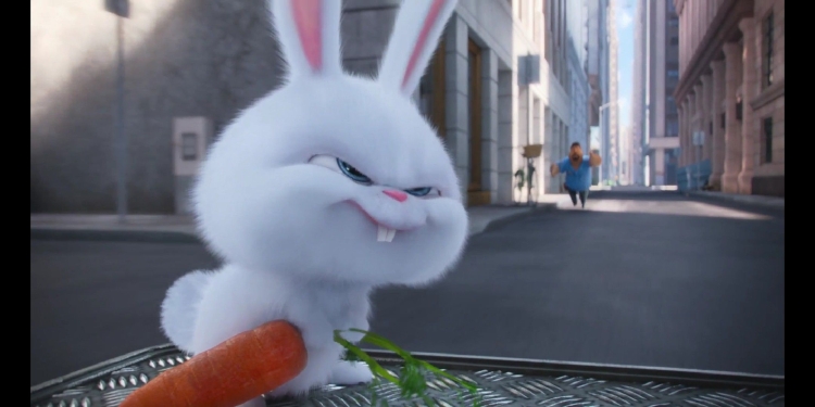 Тайная жизнь домашних животных заяц снежок