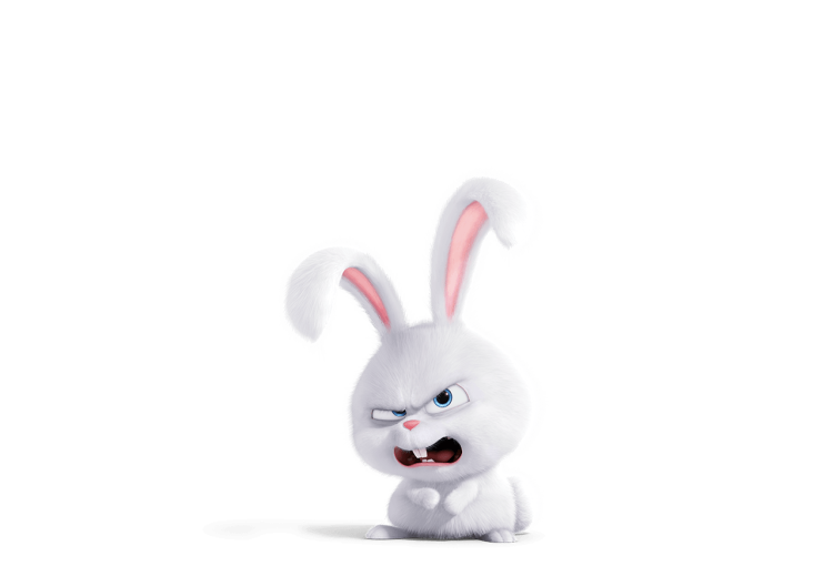 Заяц снежок из Тайная жизнь домашних животных