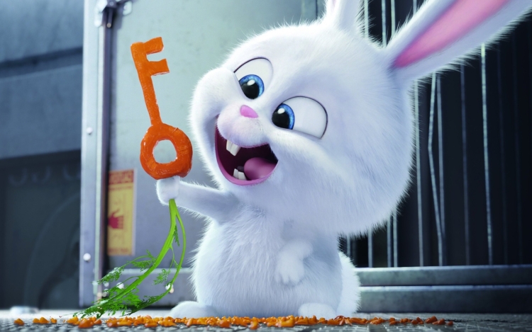 Тайная жизнь домашних животных мультфильм кролик снежок