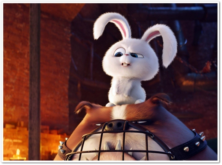 Белый Зайка из мультика Тайная жизнь