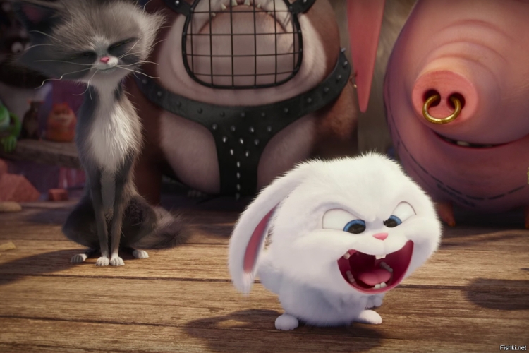 Тайная жизнь домашних 2 заяц