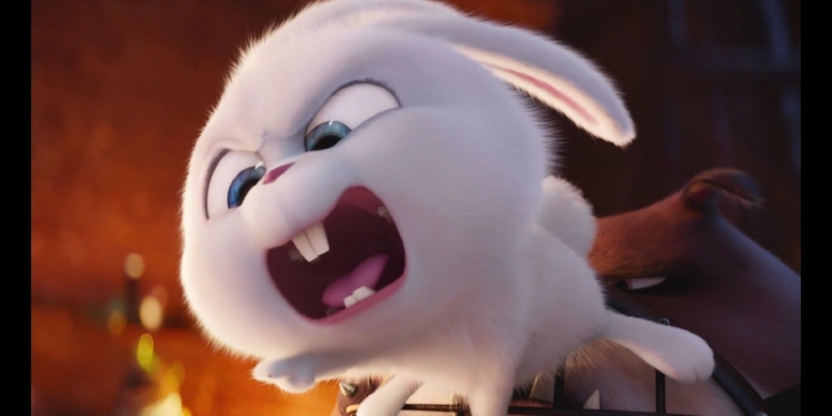 Тайная жизнь домашних животных заяц снежок