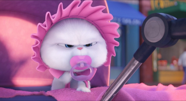 Открытка я злюсь