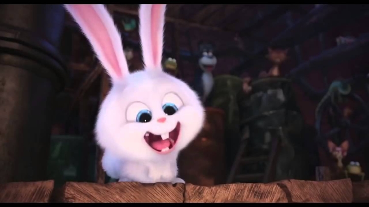 Тайная жизнь домашних кролик снежок