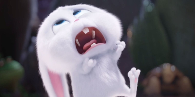 Тайная жизнь домашних животных снежок