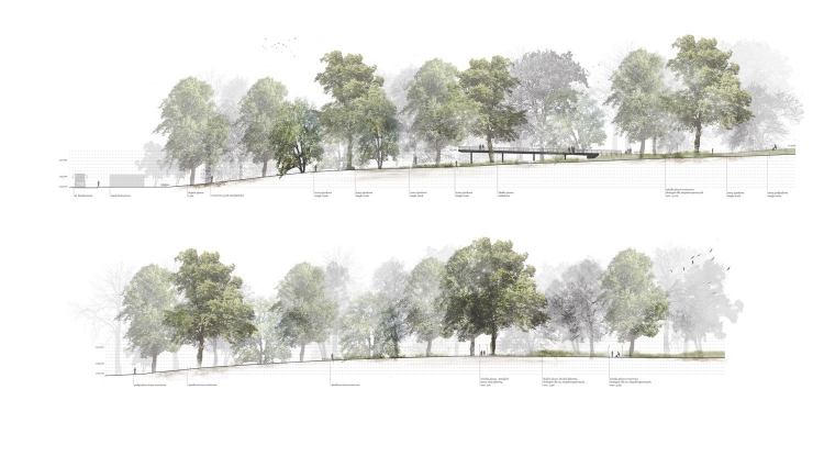 Деревья для архитектурной подачи