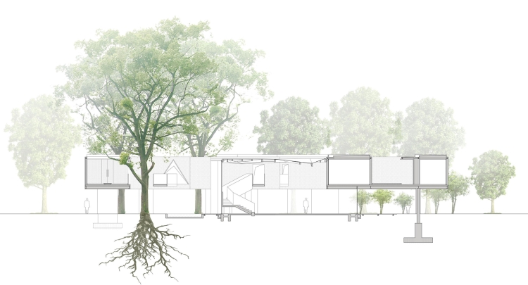 Антураж деревья архикад