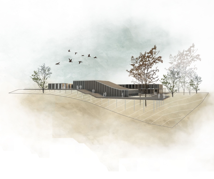 Архитектурная подача парка