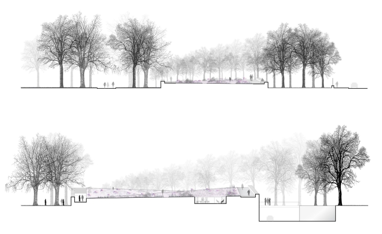 Деревья для архитектурной подачи