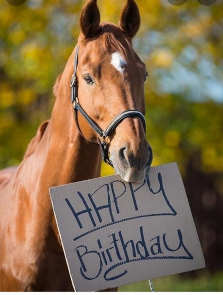Открытки и картинки с днем рождения С лошадьми скачать бесплатно