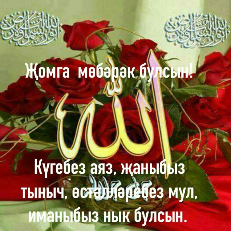 Красивые Жомга