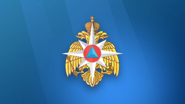 Большая эмблема МЧС России