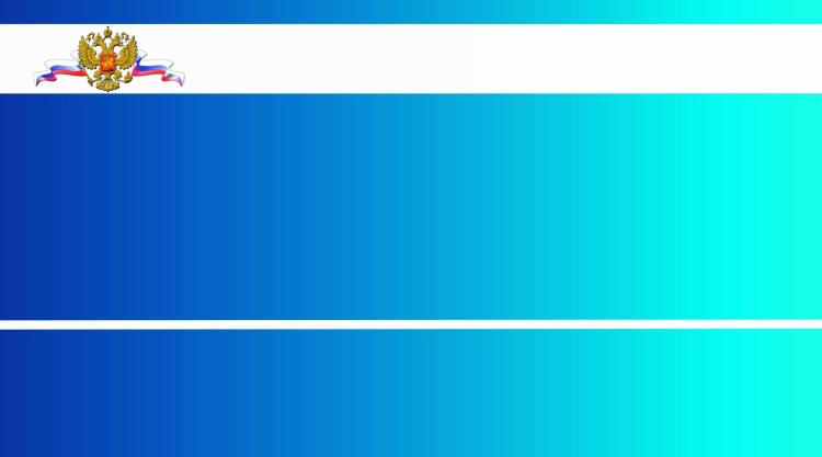 Фон для презентации МВД