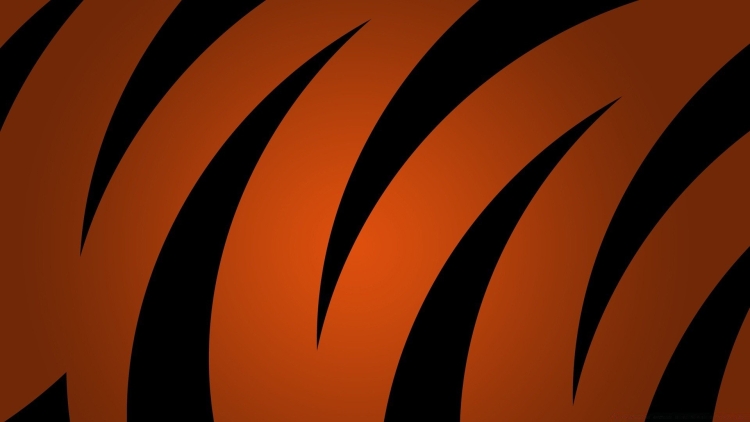 Оранжевый с черным