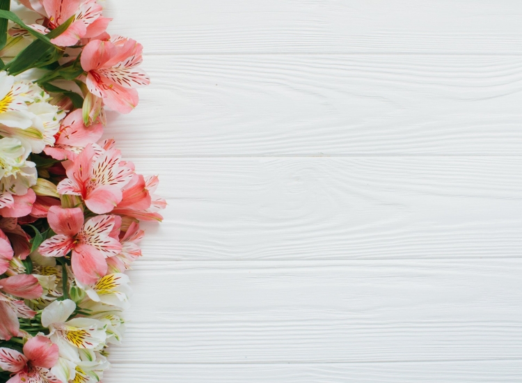 Фон для поздравления