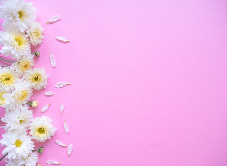 Фон для открытки