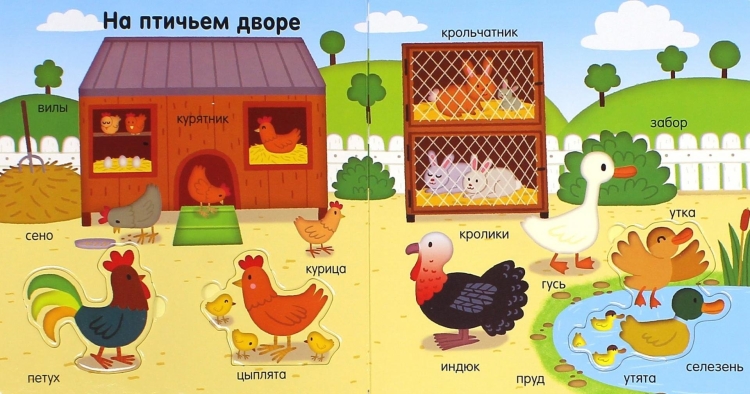 Птичий двор для детей