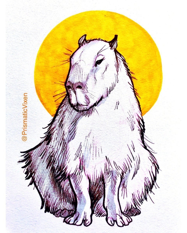 Капибара арт