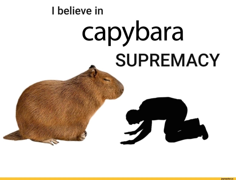 Балдежные капибары